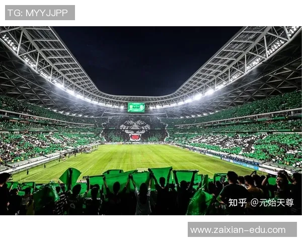 中超联赛上座率回升的背后原因与未来发展趋势分析