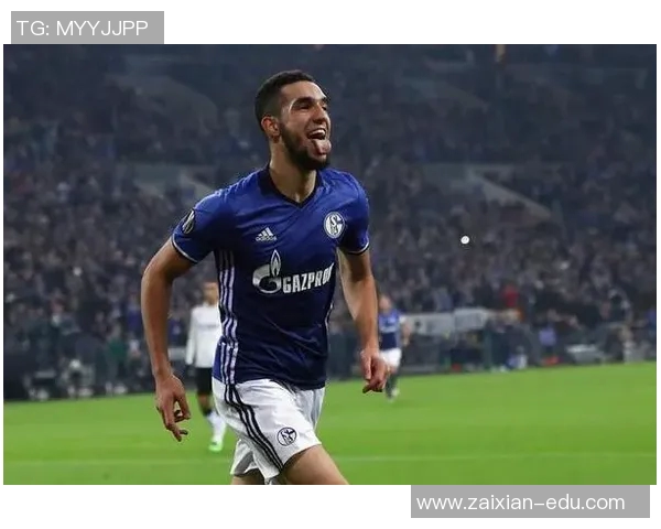 沙尔克04遭遇连败霍芬海姆客场不敌，危机加重